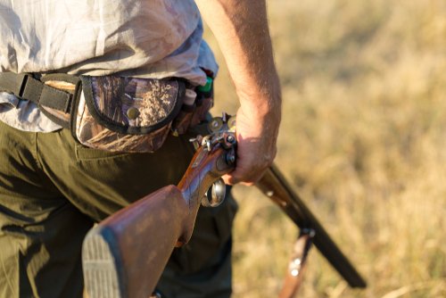 The Best Rabbit Hunting Gear for Every Budget